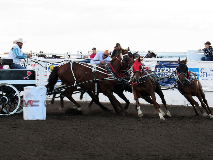 Medicine Hat Stampede