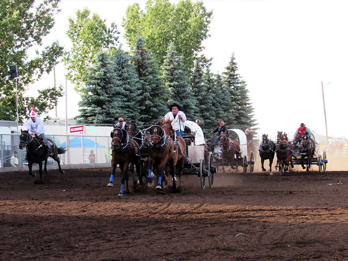 Medicine Hat Stampede