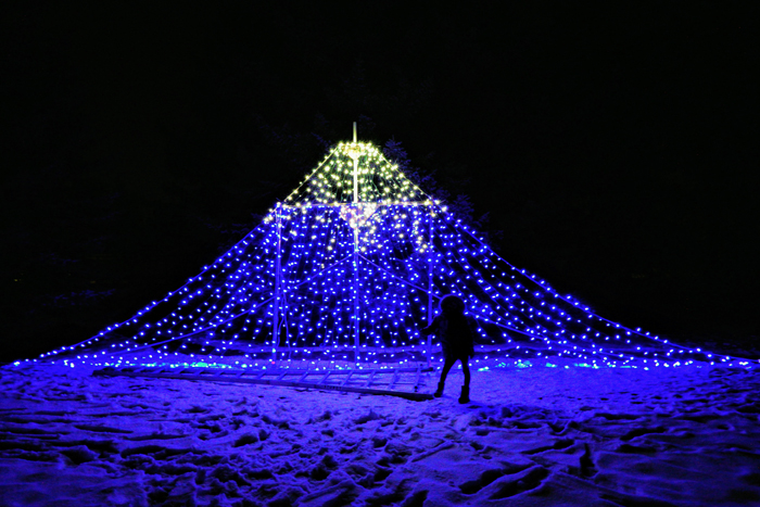 Winter Lights Festival