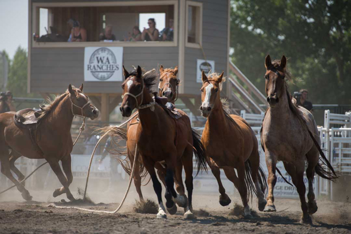 Cochrane Lions Labour Day Rodeo