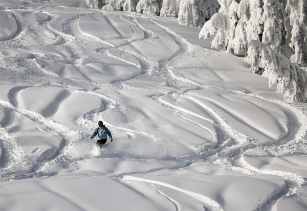 Powder at Mount Baldy