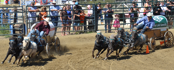 Cochrane Ag Fair