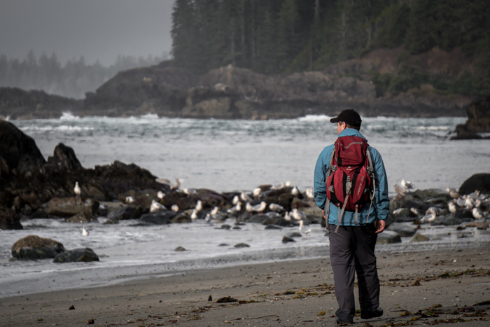 Pacific rim whale fest