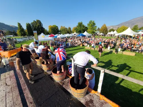 Grape stomping at Festival of the Grape, Osoyoos region BC