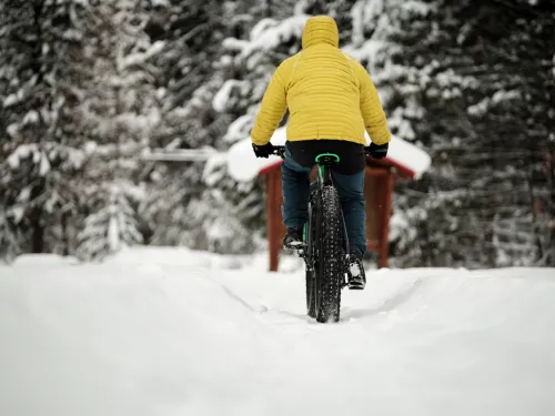 Fat biking forest Kyle Hamilton