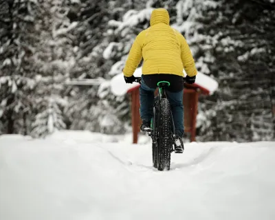 Fat biking forest Kyle Hamilton