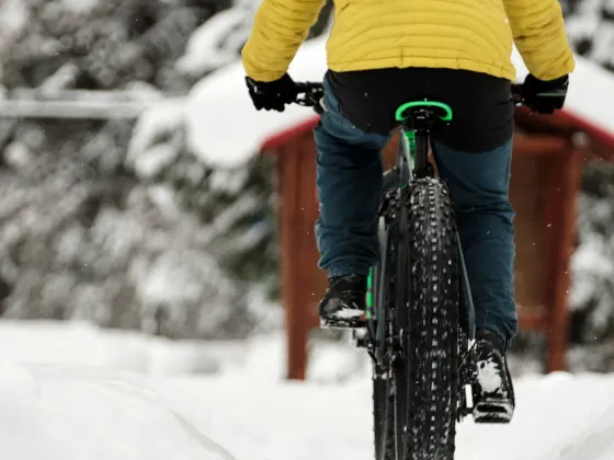 Fat biking forest Kyle Hamilton