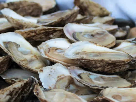 Tofino Oyster Fest