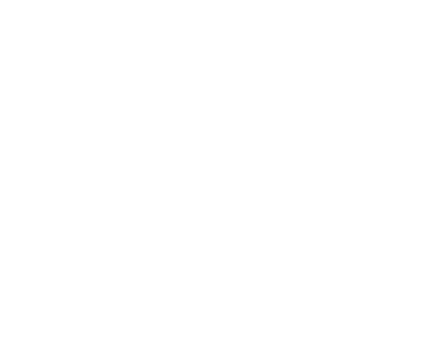 SnowSeekers logo
