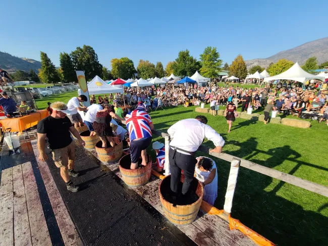 Grape stomping at Festival of the Grape, Osoyoos region BC