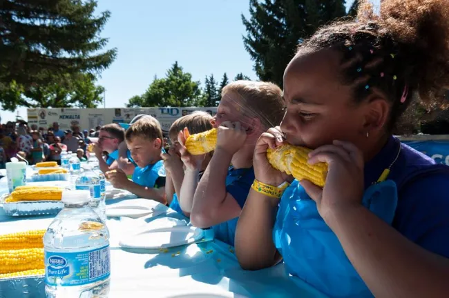 Taber Cornfest Confederation Park Taber Alberta