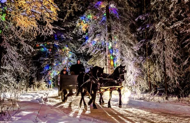 Festival Northern Spirit Light Show Evergreen Park AB