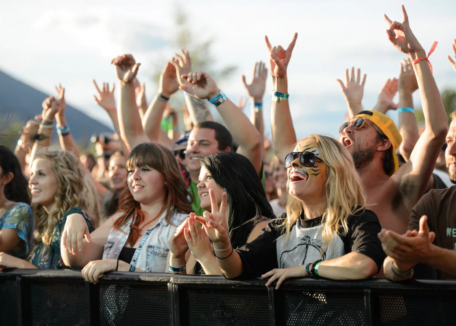 concert crowd
